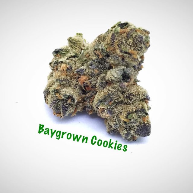 Trimming up some baygrown cookies today i502 i502producer i502processor marijuanahellip